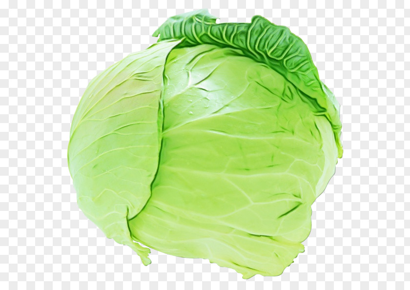 Food Savoy Cabbage Green Vegetable Iceburg Lettuce Leaf PNG