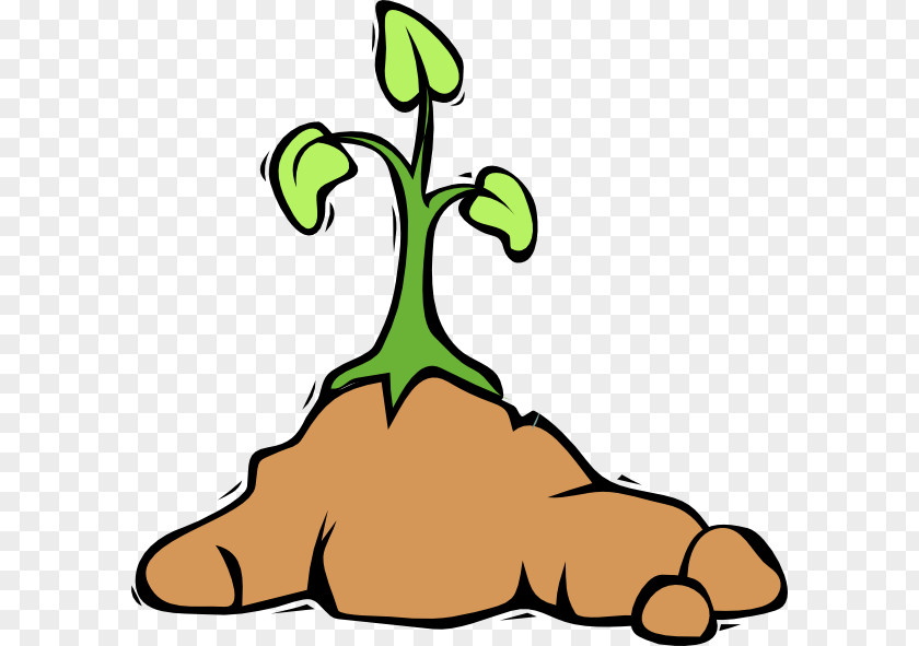 Plant Growing Cliparts Free Content Dirt Road Clip Art PNG