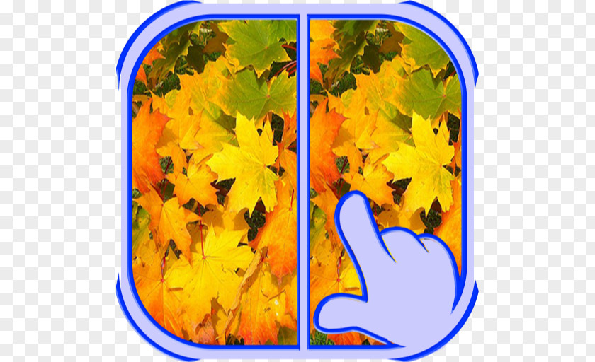 Spot The Difference Maple Leaf Autumn Color Yellow PNG