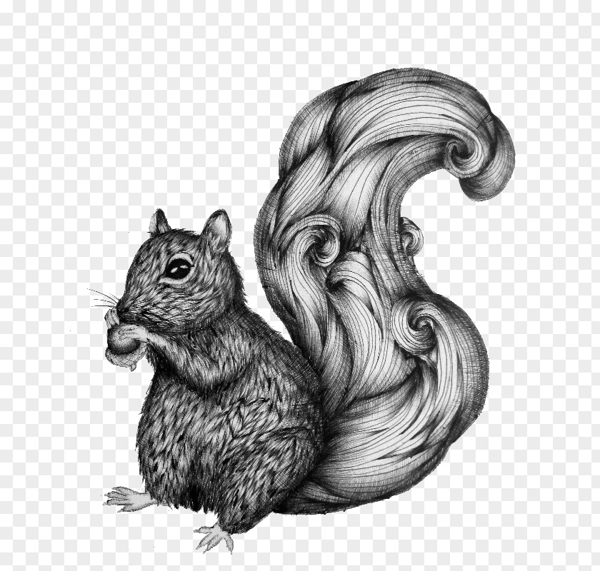 Squirrel Lover Gifts Chipmunk /m/02csf IPhone Whiskers PNG