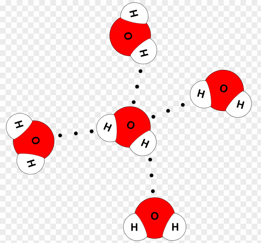 Water Molecule Molecular Model Hydrogen Bond Chemical PNG