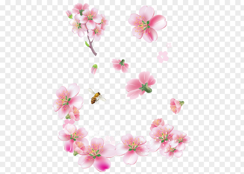 Wildflower Floral Design Cherry Blossom PNG