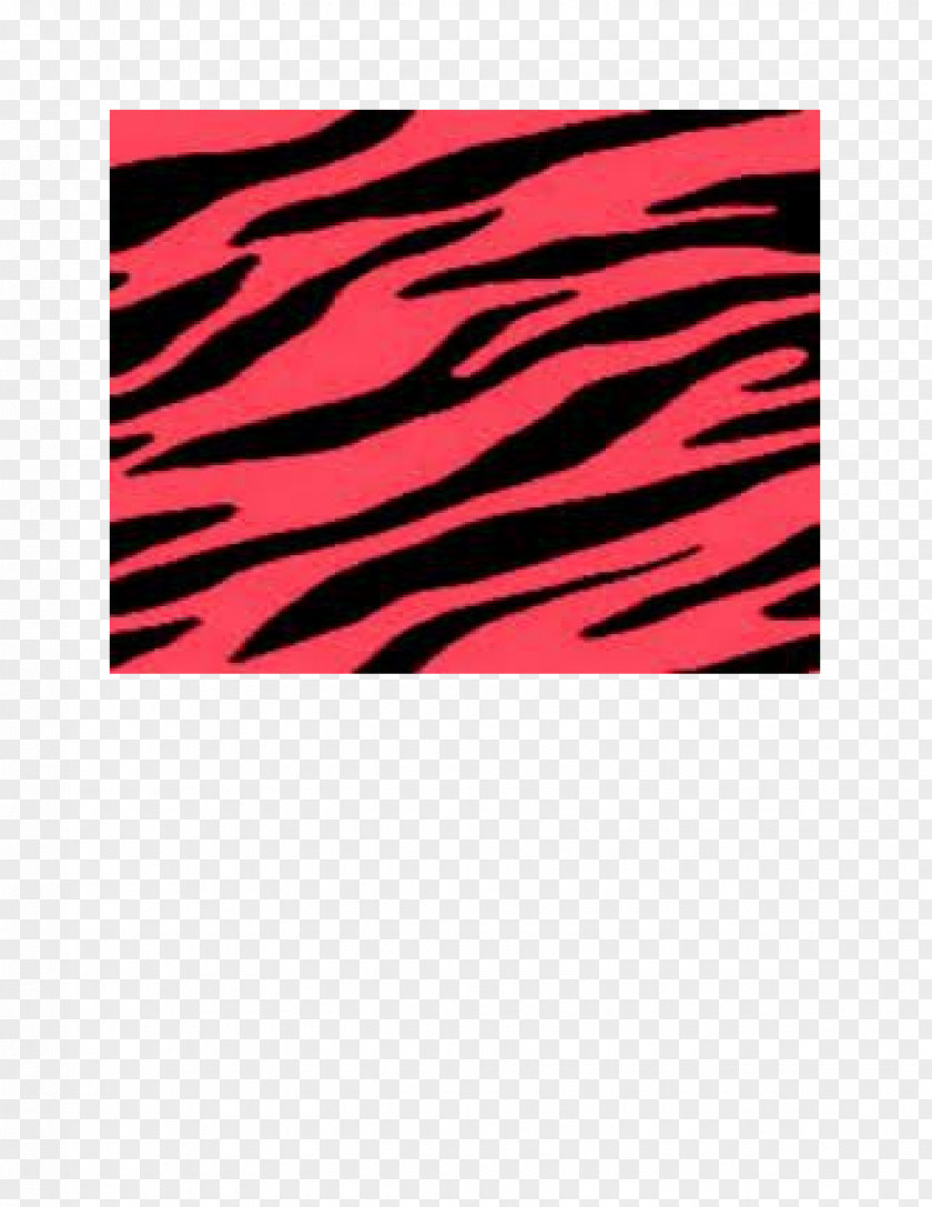 Zebra Themed Animal Print Desktop Wallpaper Clip Art PNG