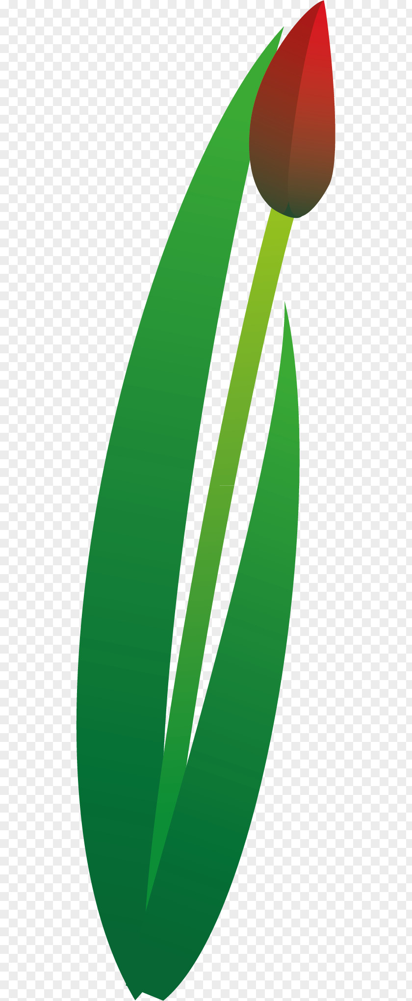 123 Leaf Green Clip Art PNG