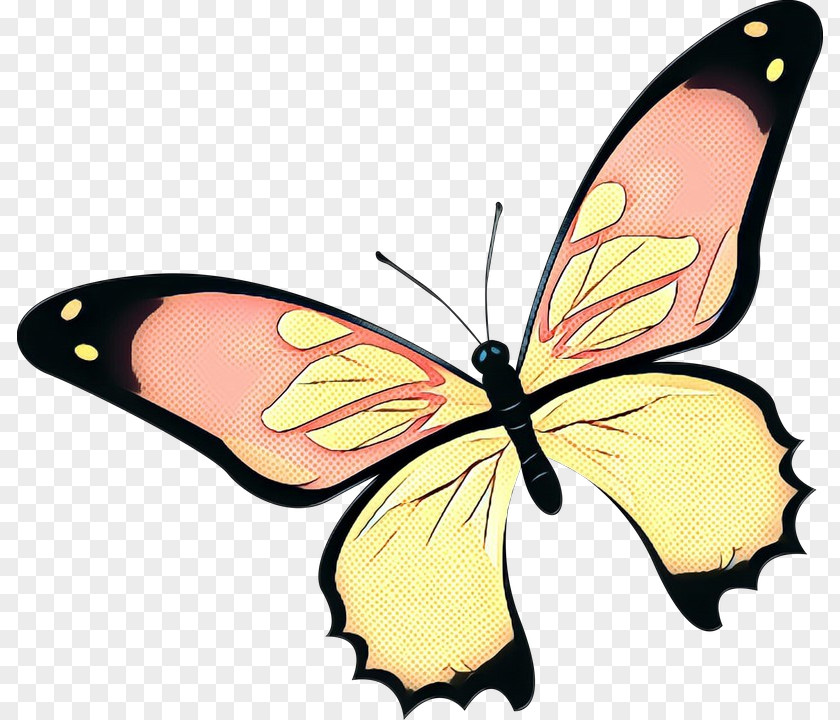 Animal Figure Swallowtail Butterfly Retro Background PNG