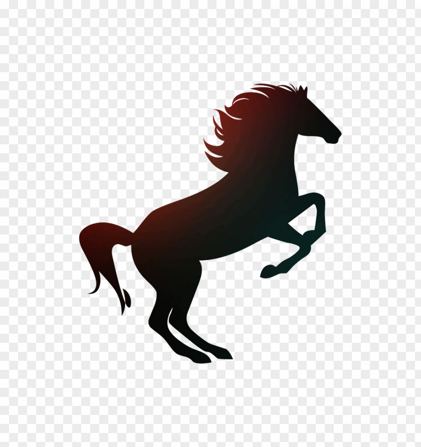 Arabian Horse The Black Hotel Rearing Stallion PNG