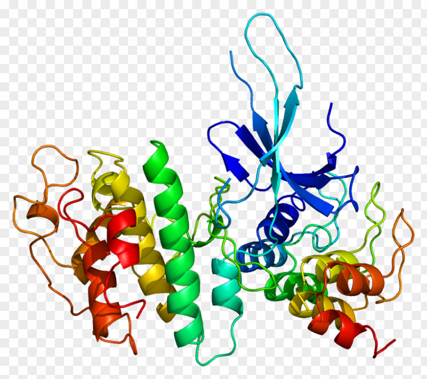 Cyclin-dependent Kinase 6 Complex PNG