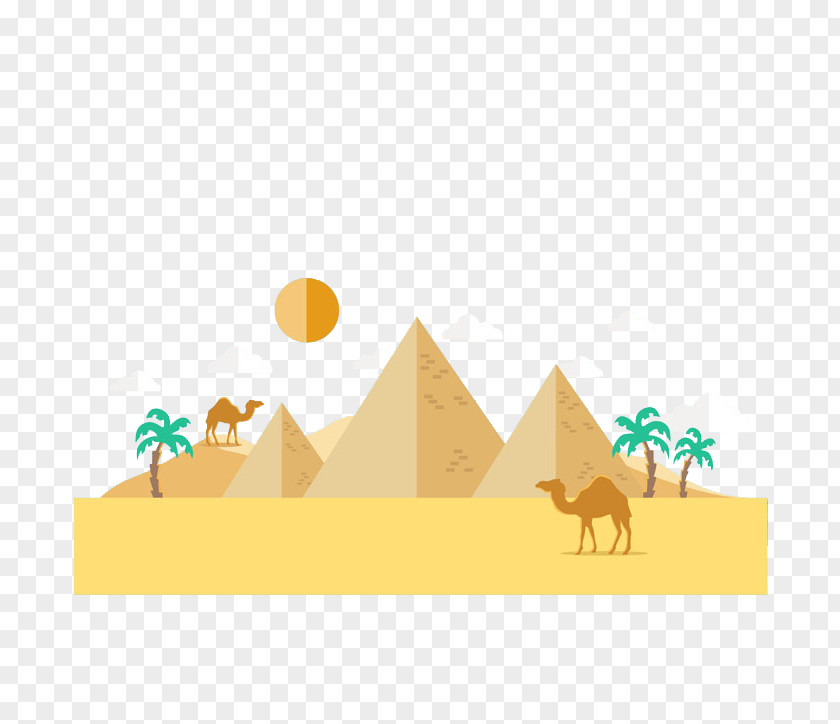 Desert Camel Egyptian Pyramids Ancient Egypt PNG