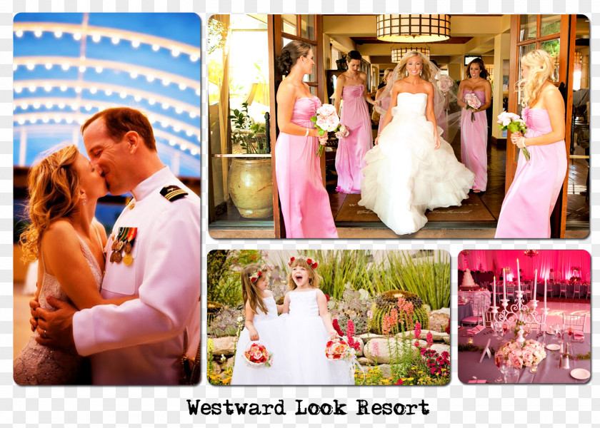 Design Floral Wedding Reception Pink M Gown PNG