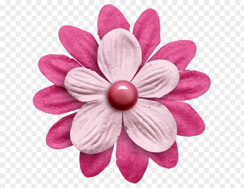Flower Petal Cut Flowers Pink M PNG