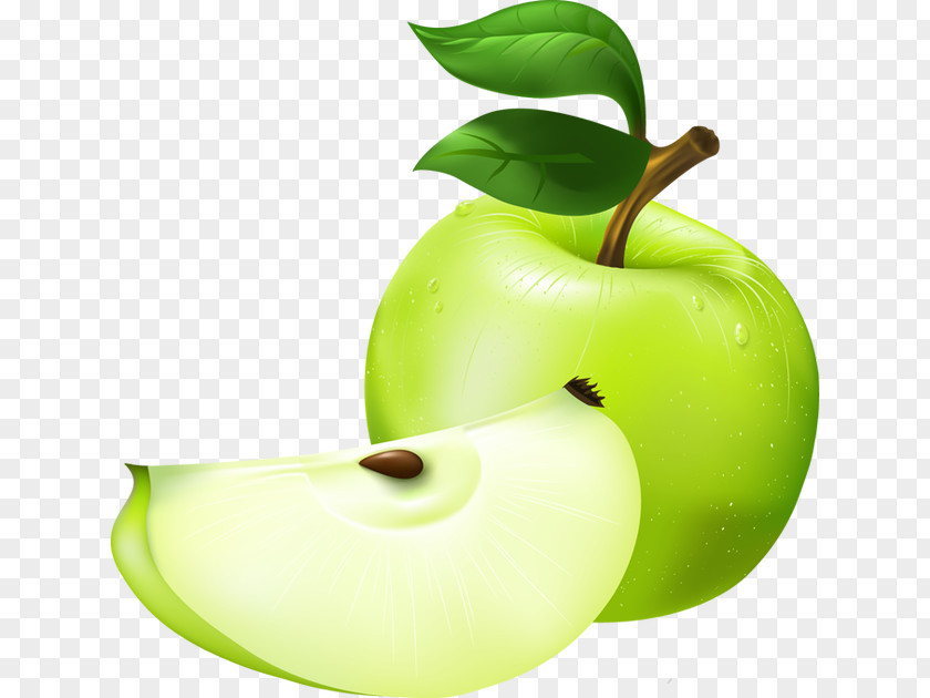 GREEN APPLE Apple Granny Smith Clip Art PNG