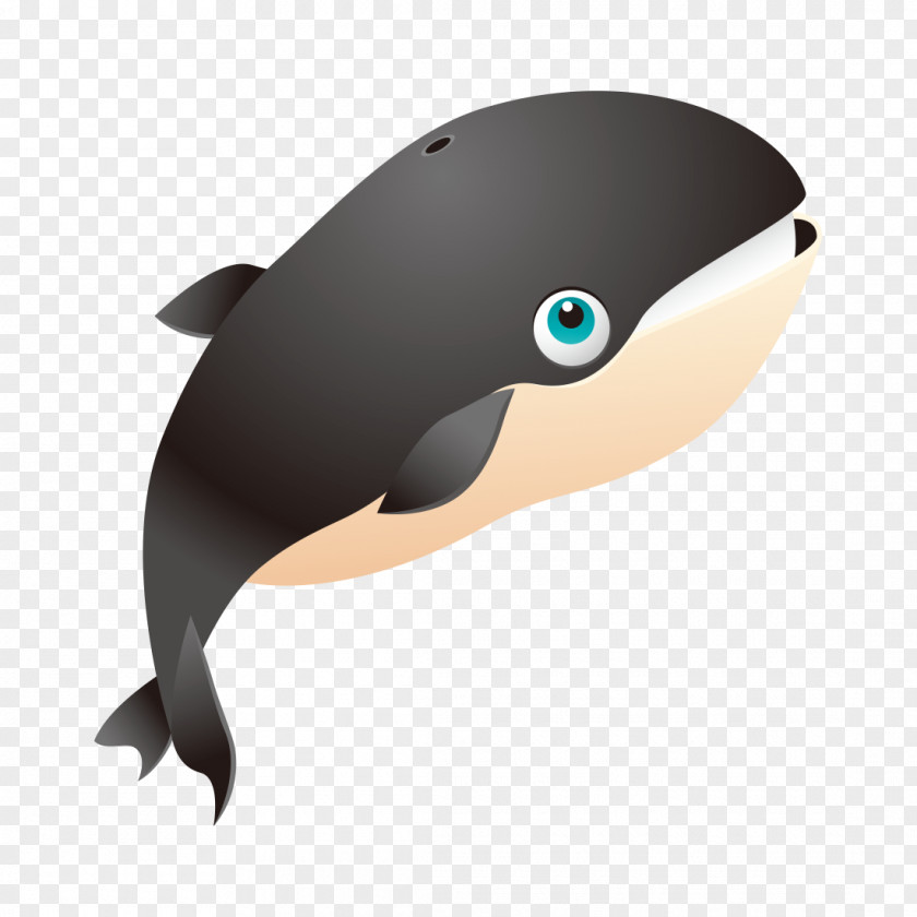 Marine Mammals Clip Art Killer Whale T-shirt Whales Vector Graphics PNG