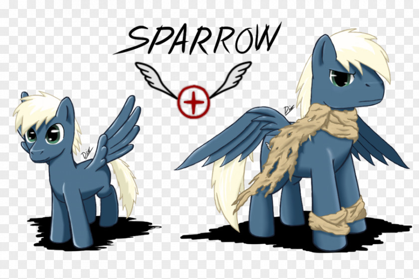Sparrow Pony Rainbow Dash Fan Art Character PNG