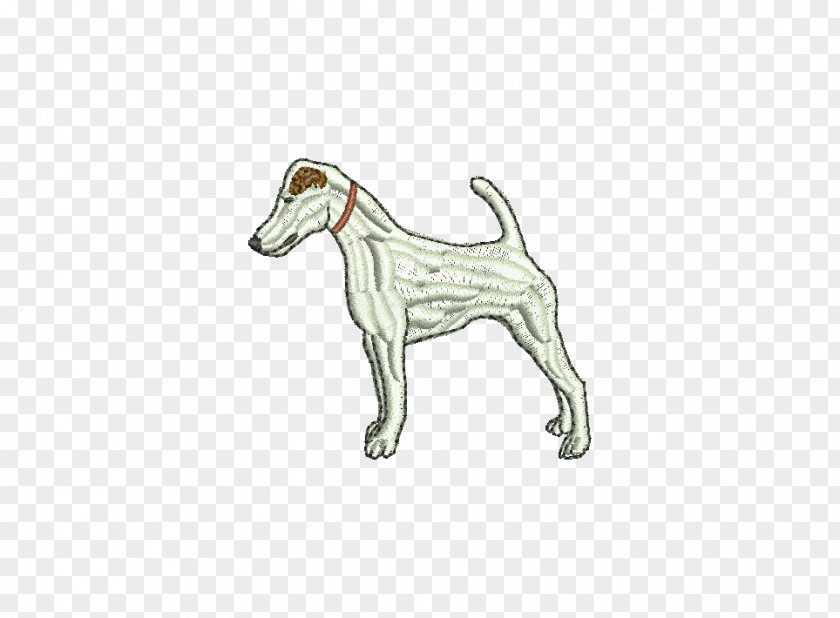 Fox Terrier Dog Breed Italian Greyhound Whippet Spanish PNG