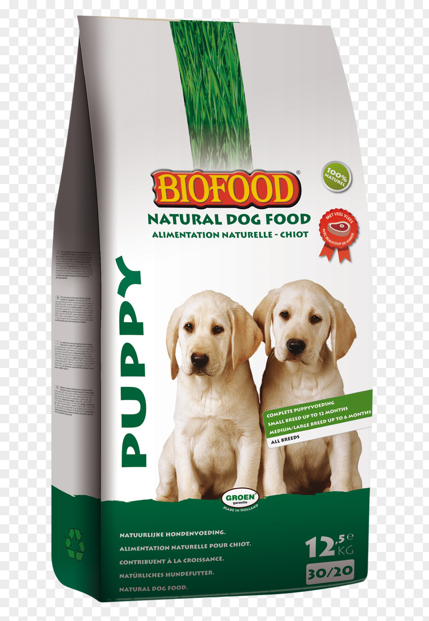 Cat Food Dog Kitten PNG