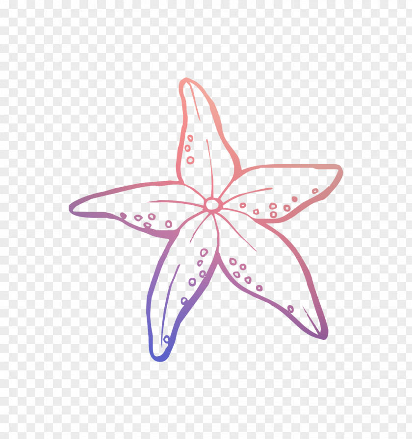 Drawing Coloring Book Vector Graphics Starfish Clip Art PNG