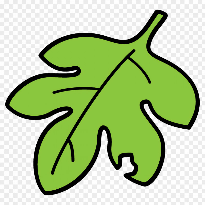 Line Art Symbol Green Clip Leaf Plant PNG