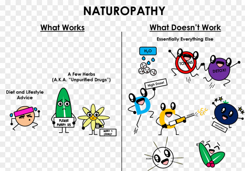 Naturopathy Bastyr University Medicine Alternative Health Services Homeopathy PNG