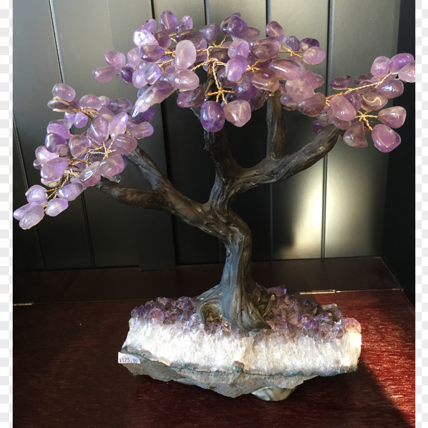 Chakras Ajna Bonsai Flower Branching PNG