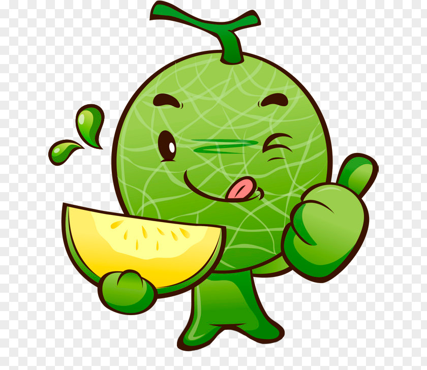 Horned Melon tree Cartoon Cantaloupe Image Clip Art Fruit PNG