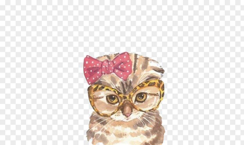 Owl Watercolor Picture Material Scottish Fold Persian Cat Kitten Painting Illustration PNG