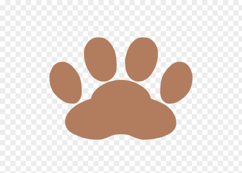 Paw Cat Bear Dog Giant Panda PNG