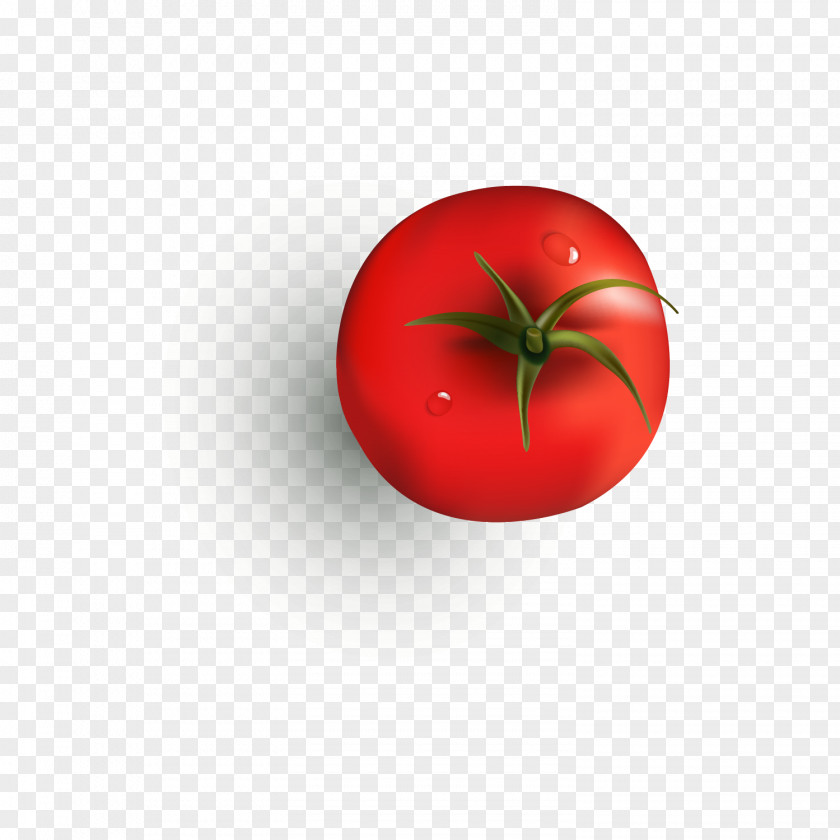 Red Tomatoes Tomato Juice Cherry Soup Sandwich PNG