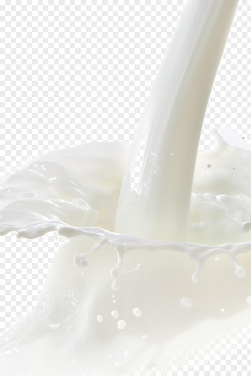 Spray Splashes Of Milk Food Icon PNG