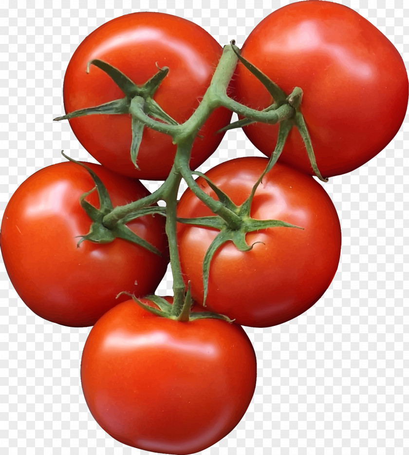 Tomato Pizza Vegetable Salad PNG
