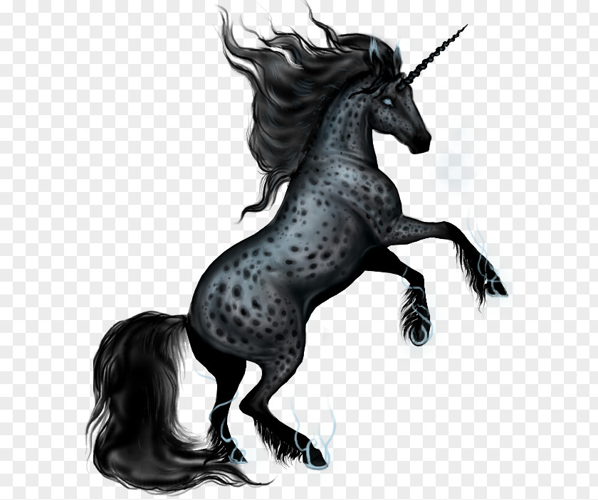 Unicorn Winged Pegasus Pony PNG