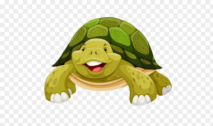 Arka Turtle Clip Art Vector Graphics Royalty-free Stock Photography PNG