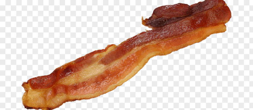 Bacon Hamburger Tyrolean Speck PNG