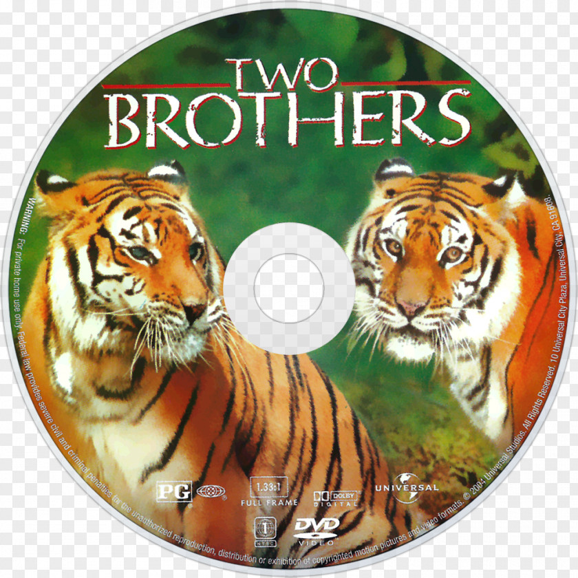 Cd Covers Tiger YouTube Film DVD PNG