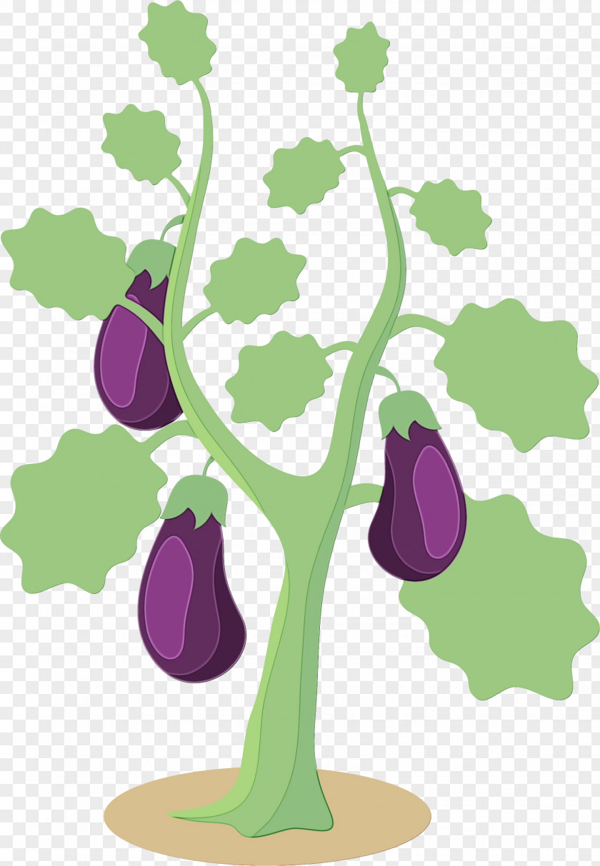 Houseplant Vitis Aubergines Food Vegetable Plants Transparency PNG