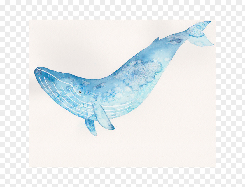 Watercolor Blue Whale Painting Art PNG