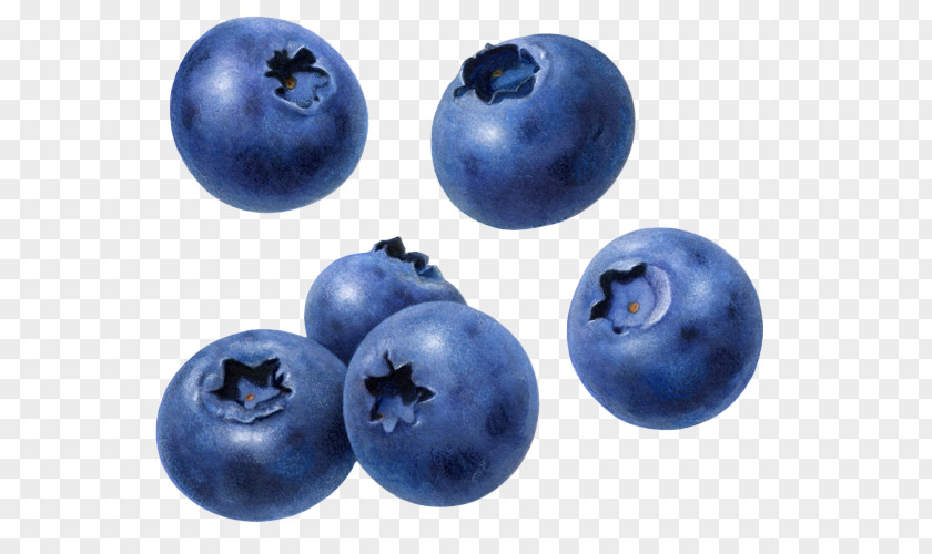 Blueberry Raspberry Fruit PNG