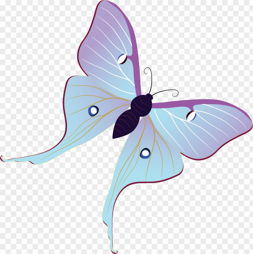 Butterfly Insect Pollinator Arthropod Moth PNG