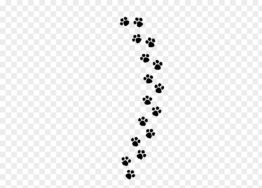 Cat Footprints Dog Puppy Paw PNG