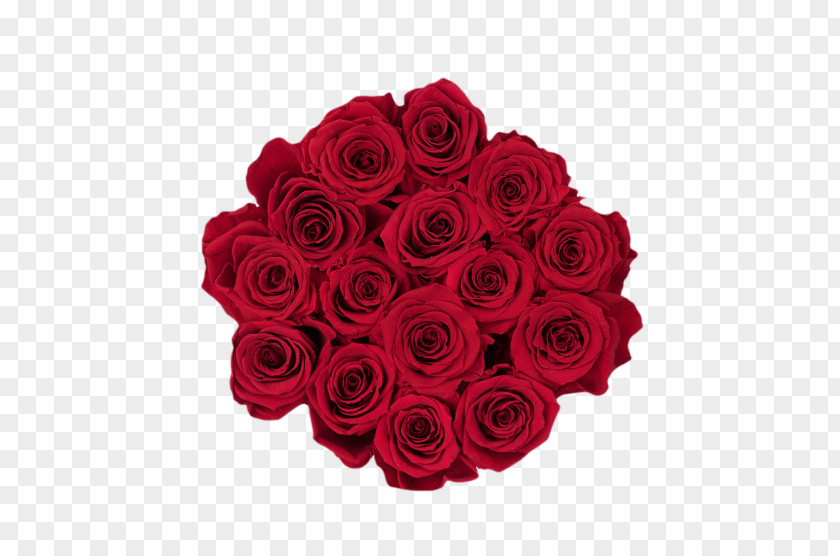 Royal Red Garden Roses RE/MAX, LLC RE/MAX INTEGRA Ontario-Atlantic Inc. Karun Gayrimenkul Danışmanlığı Real Estate PNG