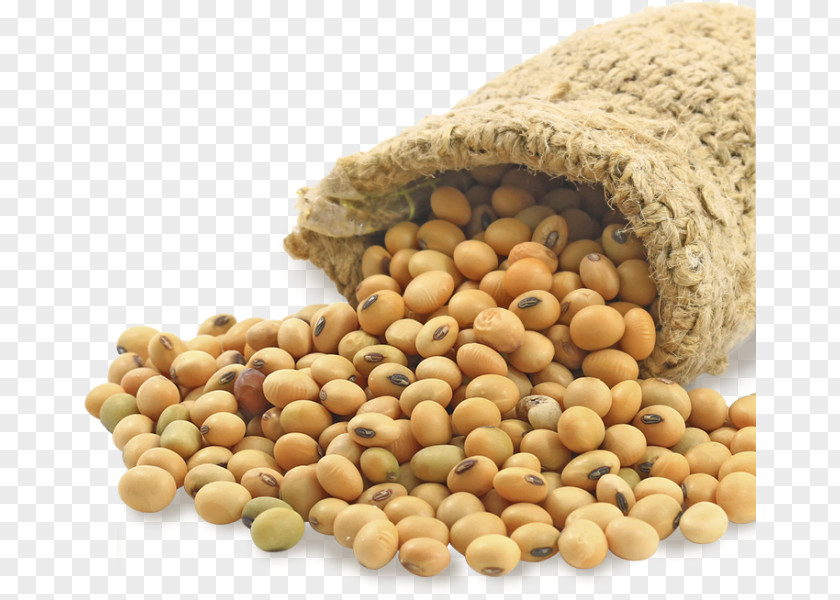 Soybean Meal Soy Milk Edamame Food PNG