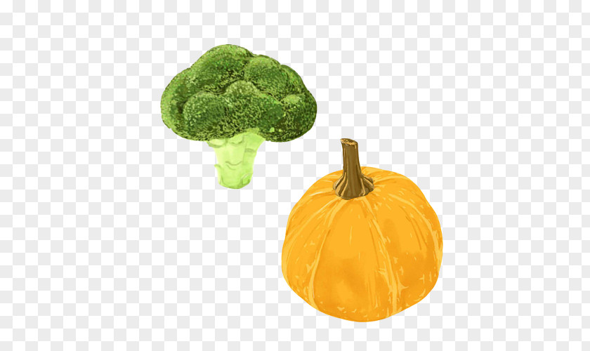 Vegetable Oil Material Picture Pumpkin Broccoli Food PNG