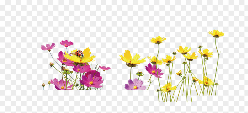 A Field Of Flowers Floral Design Yellow Flower PNG