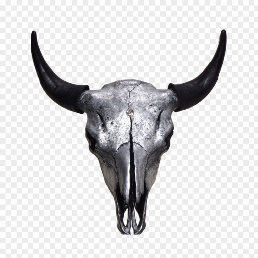 Bison Antiquus Skull Cattle Horn American PNG