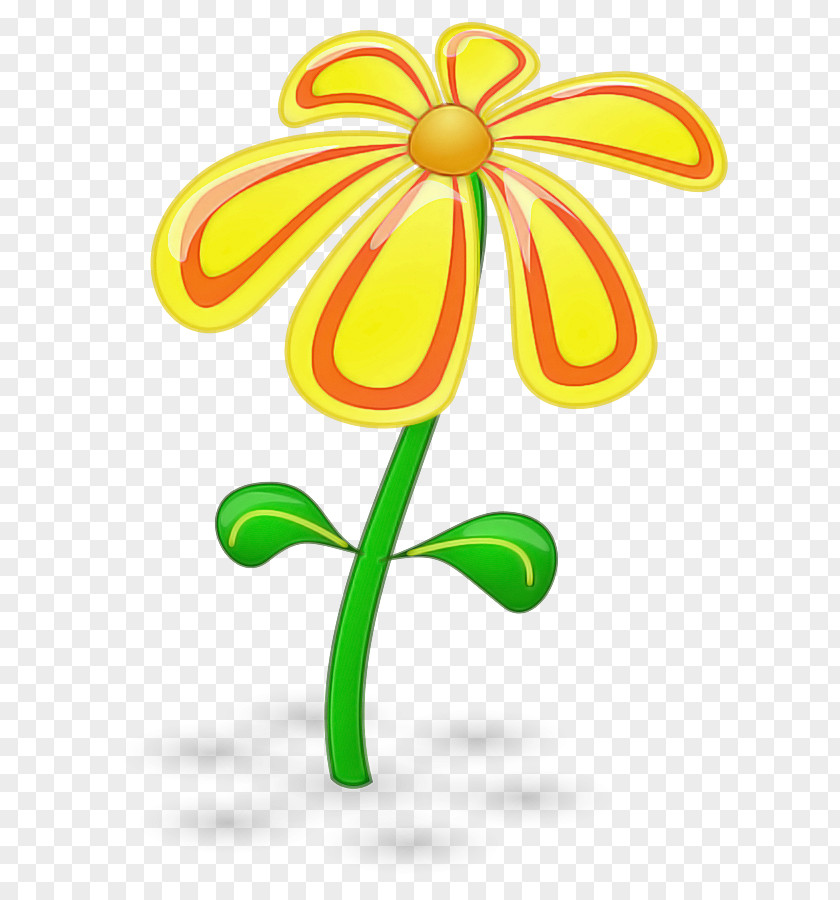 Floral Design PNG