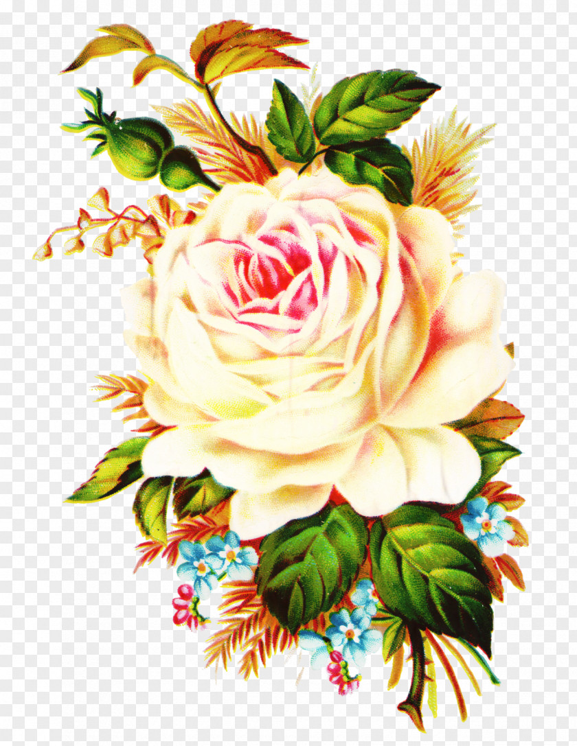 Flower Rose Clip Art PNG