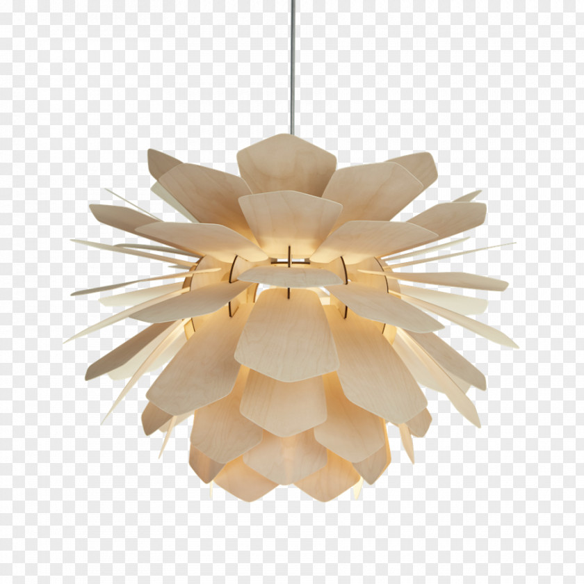 Light Pendant Lamp Shades Fixture Lighting PNG