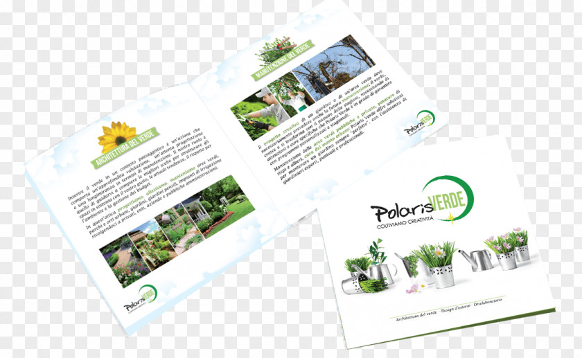 Pamphlet Advertising Brand Brochure PNG