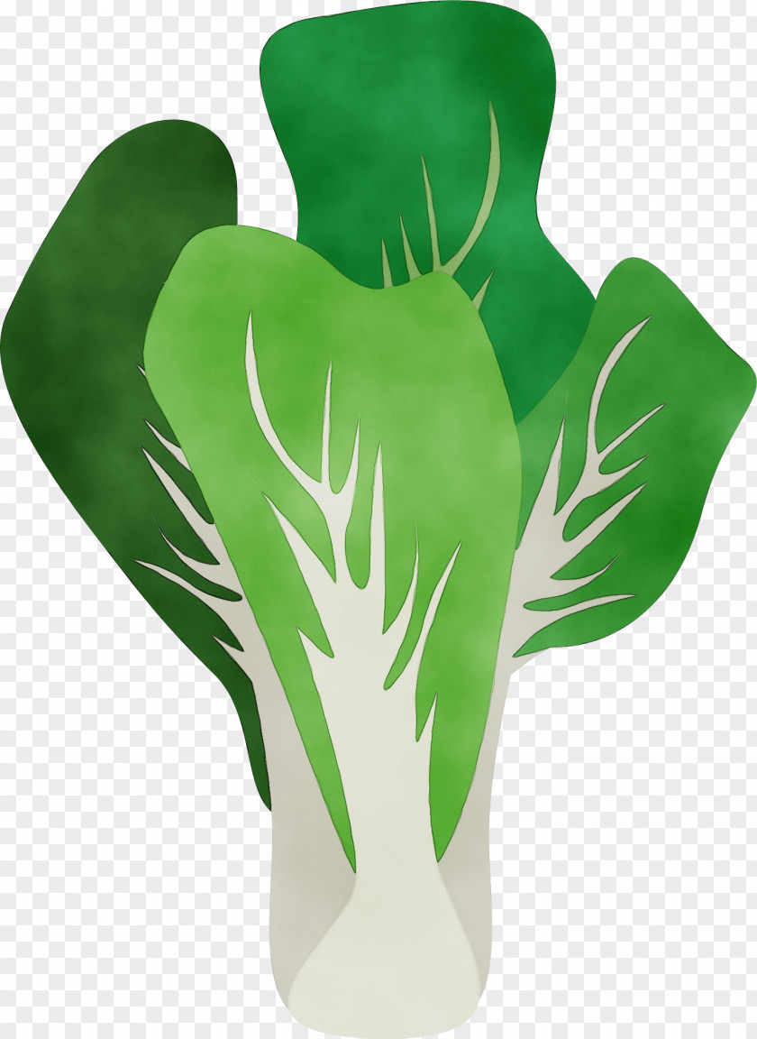 Petal Vase Green PNG