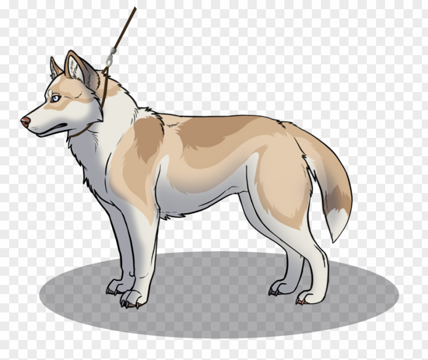 Rng Saarloos Wolfdog Czechoslovakian Dog Breed Dingo Red Fox PNG