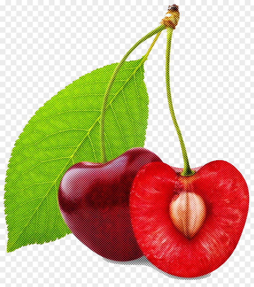 Tree Accessory Fruit Natural Foods Cherry Plant Leaf PNG